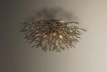 Sierra Family_006.jpg